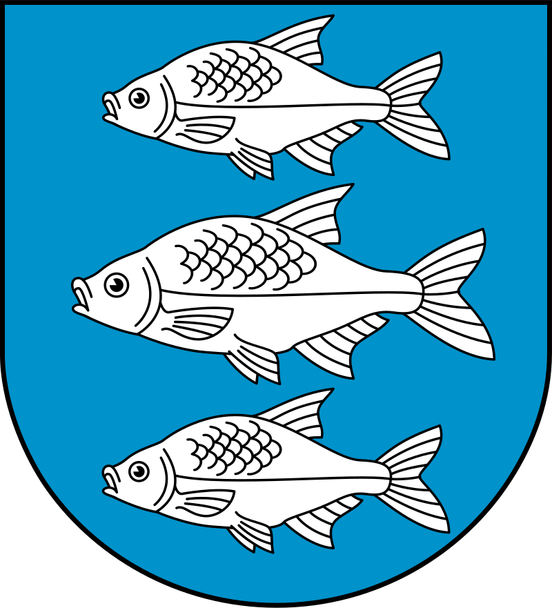 SEO / Pozycjonowanie lokalne Giżycko