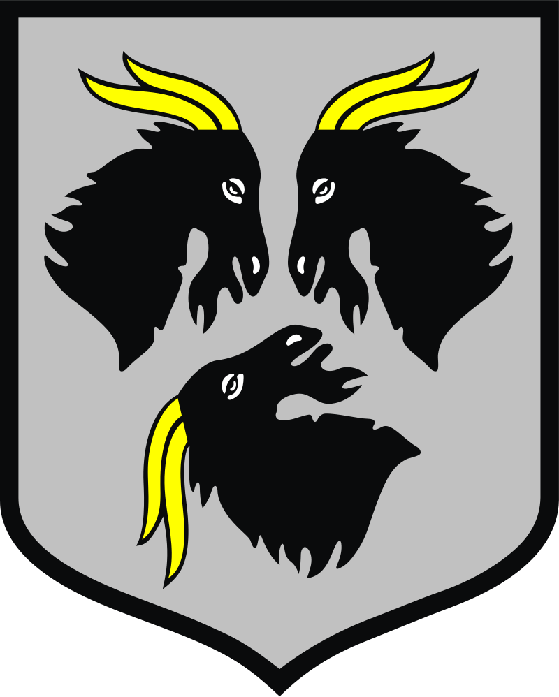 SEO / Pozycjonowanie lokalne Kędzierzyn-Koźle